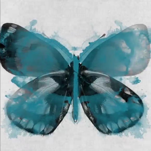 Meet your Posher, Shiran - Picture 1 of 1